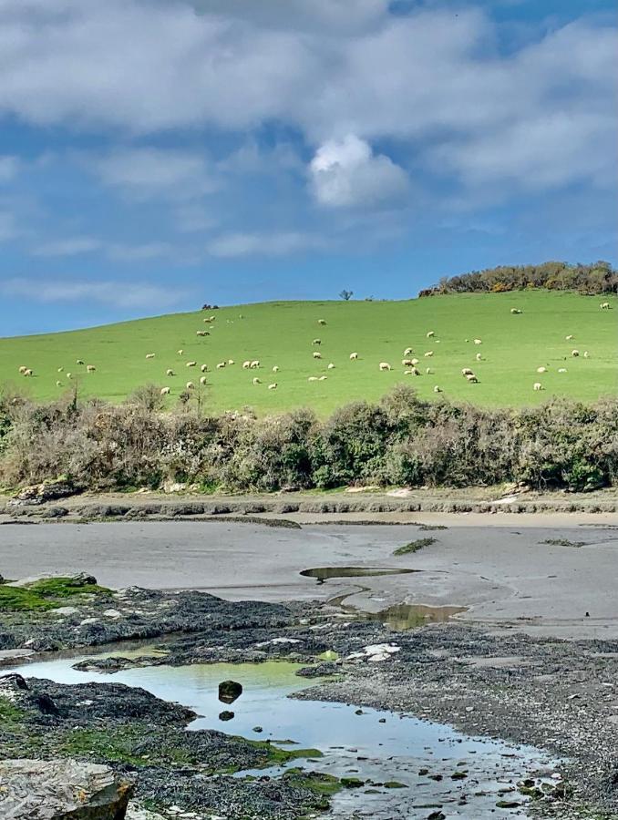 Gwel An Heyl, Padstow Villa Little Petherick Dış mekan fotoğraf