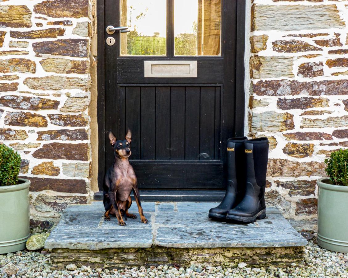 Gwel An Heyl, Padstow Villa Little Petherick Dış mekan fotoğraf