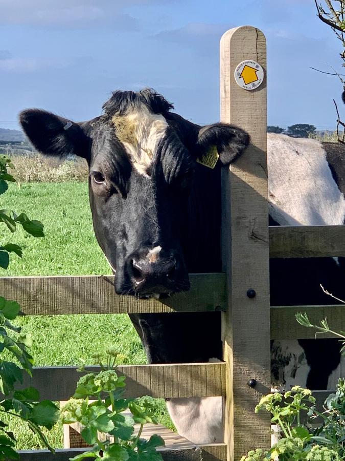 Gwel An Heyl, Padstow Villa Little Petherick Dış mekan fotoğraf