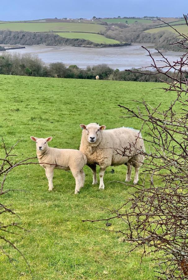 Gwel An Heyl, Padstow Villa Little Petherick Dış mekan fotoğraf